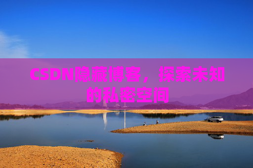 CSDN隐藏博客，探索未知的私密空间